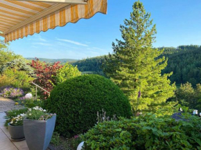 Ferienwohnungen Bergnest Winterberg